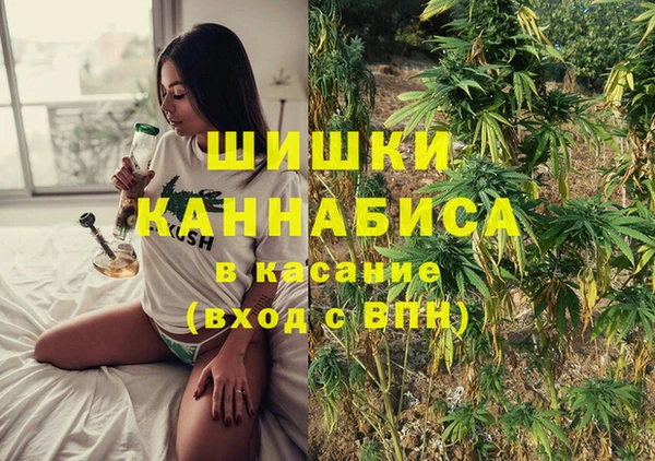 мяу мяу мука Елабуга