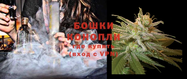 прущие крисы Ельня